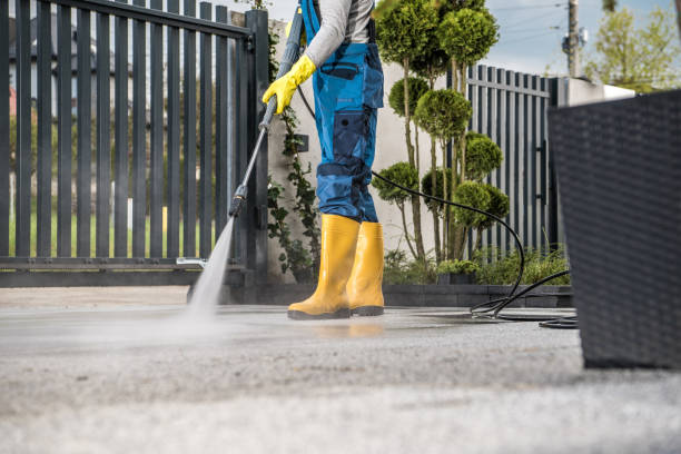 Animal Enclosure Cleaning in Mingo Junction, OH
